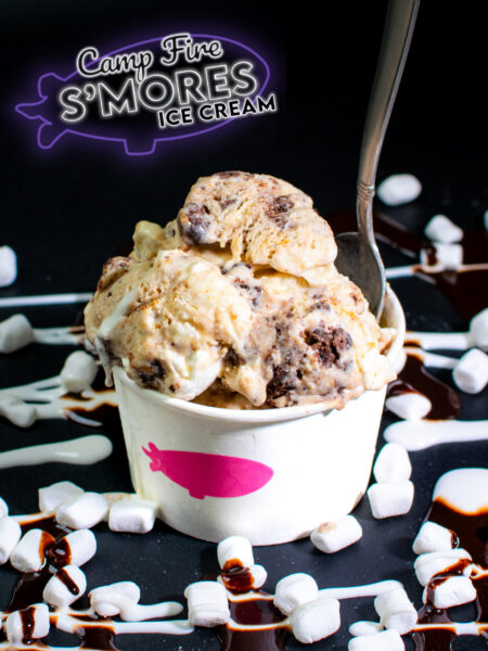 Goodnight Fatty's Camp Fire S'mores ice cream